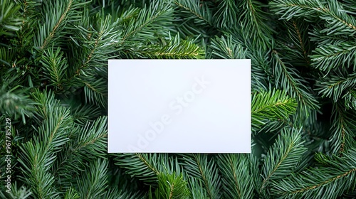 Blank Card in Evergreen Tree