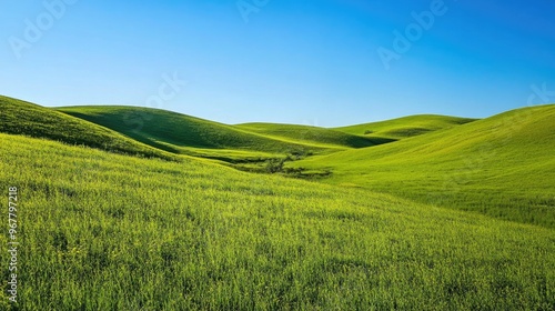 Rolling hills covered in green grass under a clear blue sky