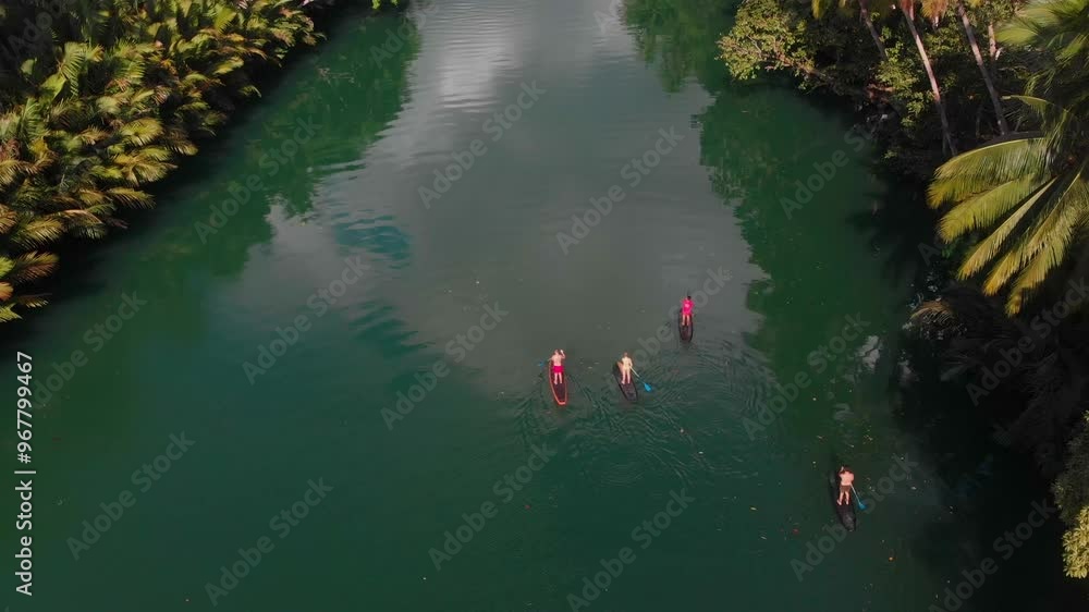 Aerial view of a tranquil tropical river surrounded by lush palm trees and serene forest, Loboc, Philippines. Aerial view of a tranquil tropical river surrounded by lush palm trees and serene forest, Loboc, Philippines.