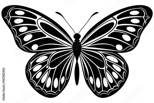  butterfly silhouettes collection, vector illustration isolated on a white background