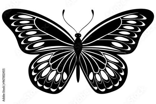  butterfly silhouettes collection, vector illustration isolated on a white background