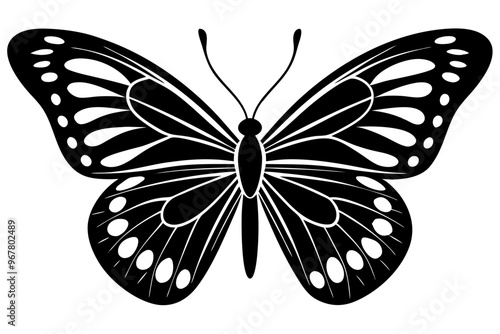  butterfly silhouettes collection, vector illustration isolated on a white background