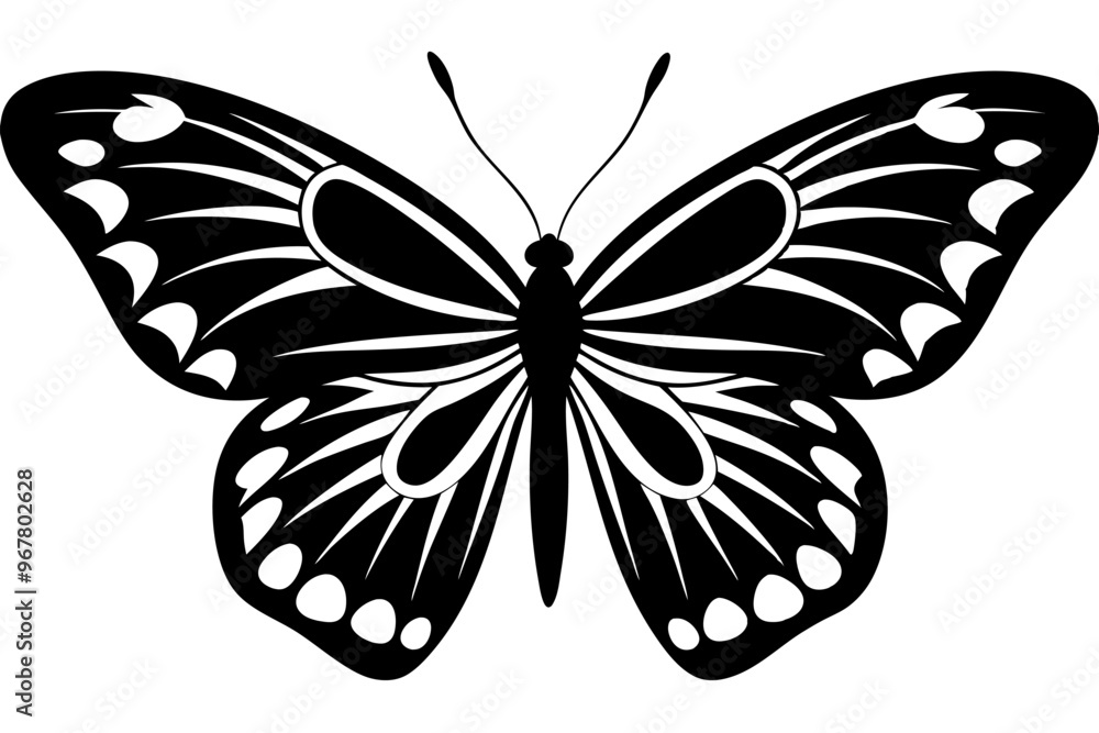 butterfly silhouettes collection, vector illustration isolated on a white background butterfly silhouettes collection, vector illustration isolated on a white background