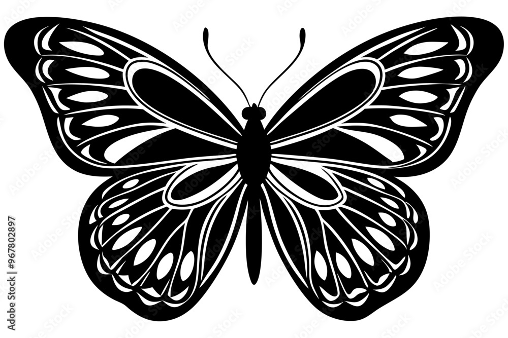 butterfly silhouettes collection, vector illustration isolated on a white background butterfly silhouettes collection, vector illustration isolated on a white background
