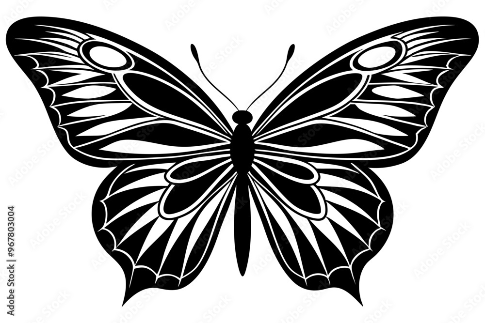 butterfly silhouettes collection, vector illustration isolated on a white background butterfly silhouettes collection, vector illustration isolated on a white background