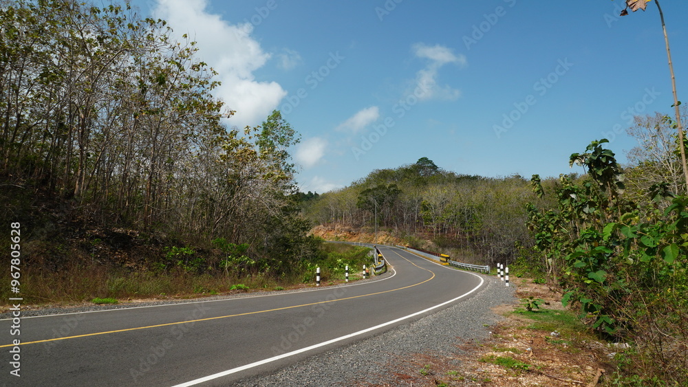 Fototapeta premium highway in teak forest