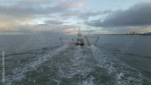 Aerial view of a serene fishing trawler navigating the calm Wadden Sea at sunrise with seagulls overhead, Harlingen, Friesland, Netherlands. photo