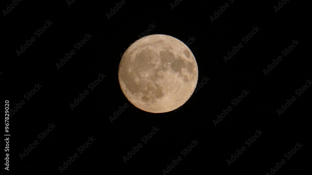 full moon in the night sky full moon in the night sky