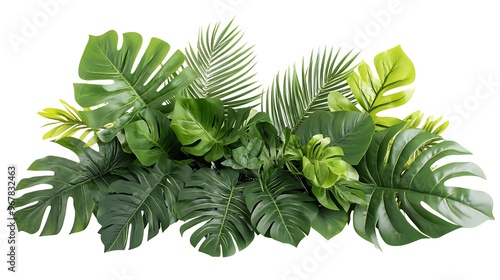 Tropical Leaves Arrangement