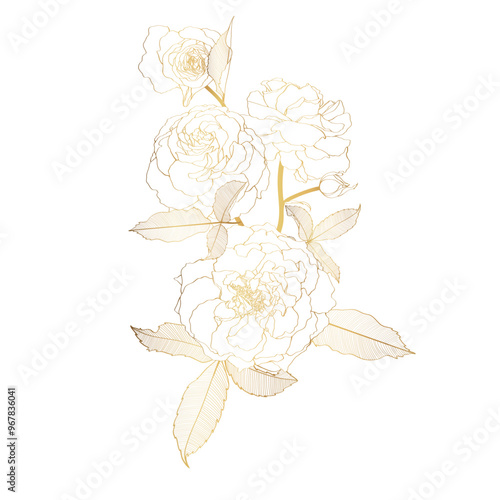 Wallpaper Mural Golden roses flowers bouquet and leves isolated on white background.  Torontodigital.ca