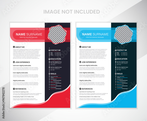 Professional Resume CV curriculum vitae Template