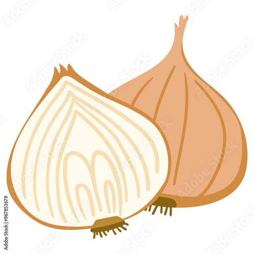 onion illustration for card website, application, printing, document, poster design, etc.
