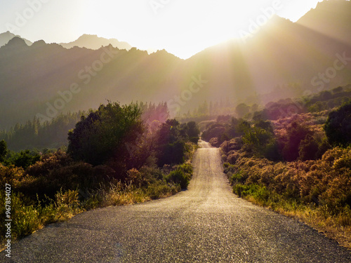 Golden Evening Glow on Hot Sardinian Rolling Road Near Baunei, Tortoli Region photo