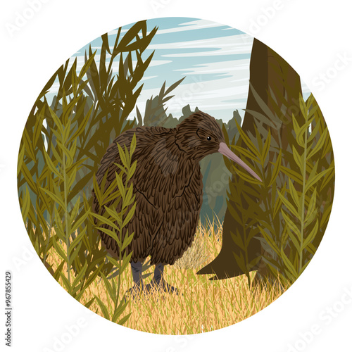 Round composition. Kiwi bird walks in thickets of tropical plants. Wildlife of New Zealand. Realistic vector landscape