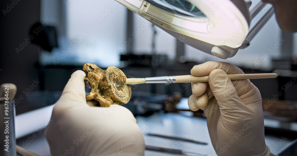 Naklejka premium Close up shot of archaeologist in gloves cleaning fossil remains from sand under magnifying lamp using professional tool. Scientist studies bones of ancient human or animal in archaeological lab.