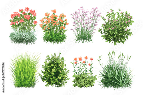 Various types of flowers grass bushes shrub and small isolated on transparent or white background, png