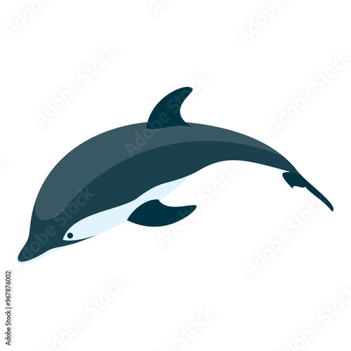 3D Isometric Flat Vector Set of Types Of Dolphins, Educational Classification. Item 9