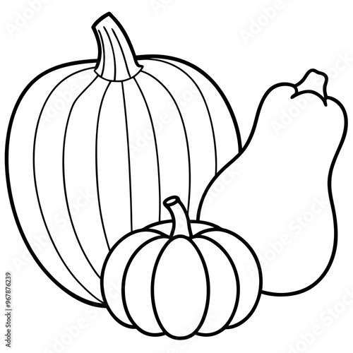 acorn squash spaghetti squash pumpkin vegetables  outline coloring book page line art illustration digital drawing