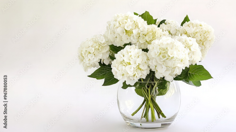 White Hydrangea Bouquet in a Glass Vase White Hydrangea Bouquet in a Glass Vase