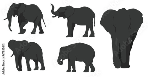 Illustration set of five silhouettes of elephants