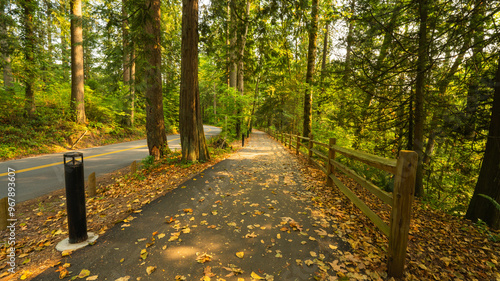 Shared walking and biking perimeter path at Maple Ridge Park, BC, in late summer.