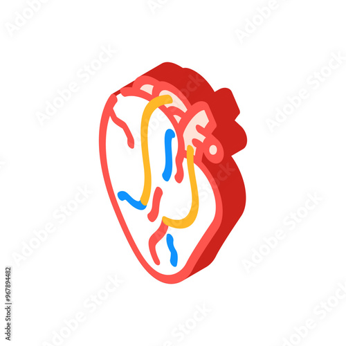 heart bypass surgery isometric icon vector. heart bypass surgery sign. isolated symbol illustration