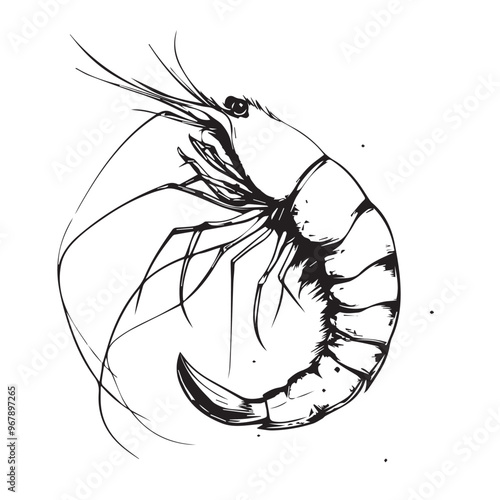 Shrimp in cartoon, doodle style . Image for t-shirt, web, mobile apps and ui. Isolated 2d vector illustration in logo, icon, sketch style, Eps 10, black and white. AI Generative