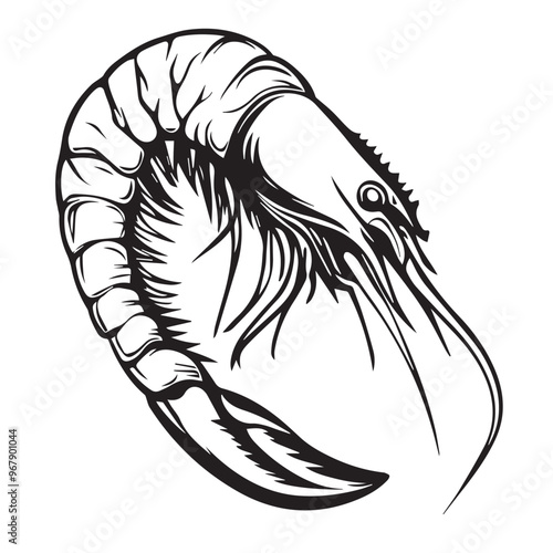 Shrimp in cartoon, doodle style . Image for t-shirt, web, mobile apps and ui. Isolated 2d vector illustration in logo, icon, sketch style, Eps 10, black and white. AI Generative