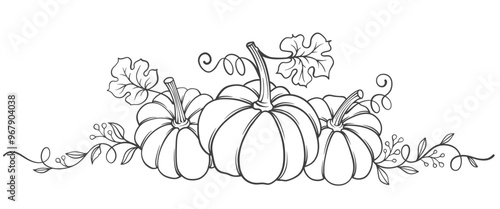 Pumpkin line art style vector illustration, thanksgiving, autumn, fall seasson element design