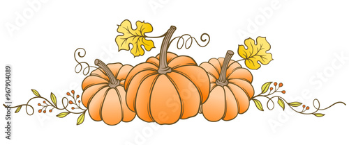 Pumpkin line art style vector illustration, thanksgiving, autumn, fall seasson element design photo