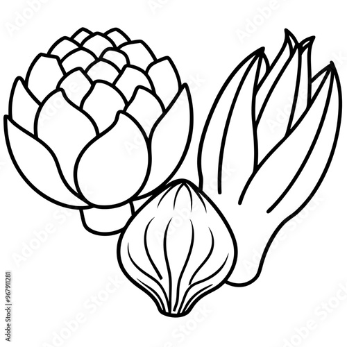 bok choy artichokes okra vegetables outline coloring book page line art illustration digital drawing