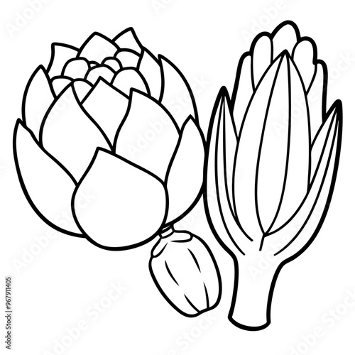 bok choy artichokes okra vegetables outline coloring book page line art illustration digital drawing