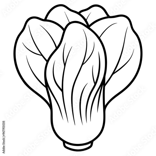 bok choy vegetable outline coloring book page line art illustration digital drawing