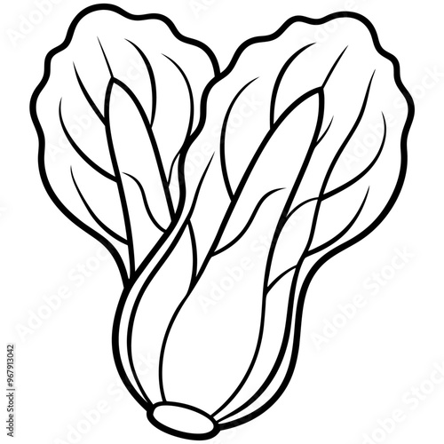 bok choy vegetable outline coloring book page line art illustration digital drawing