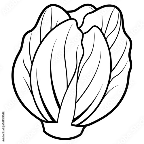 bok choy vegetable outline coloring book page line art illustration digital drawing