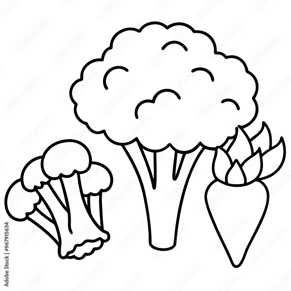broccoli carrots cauliflower vegetables outline coloring book page line art illustration digital drawing broccoli carrots cauliflower vegetables outline coloring book page line art illustration digital drawing