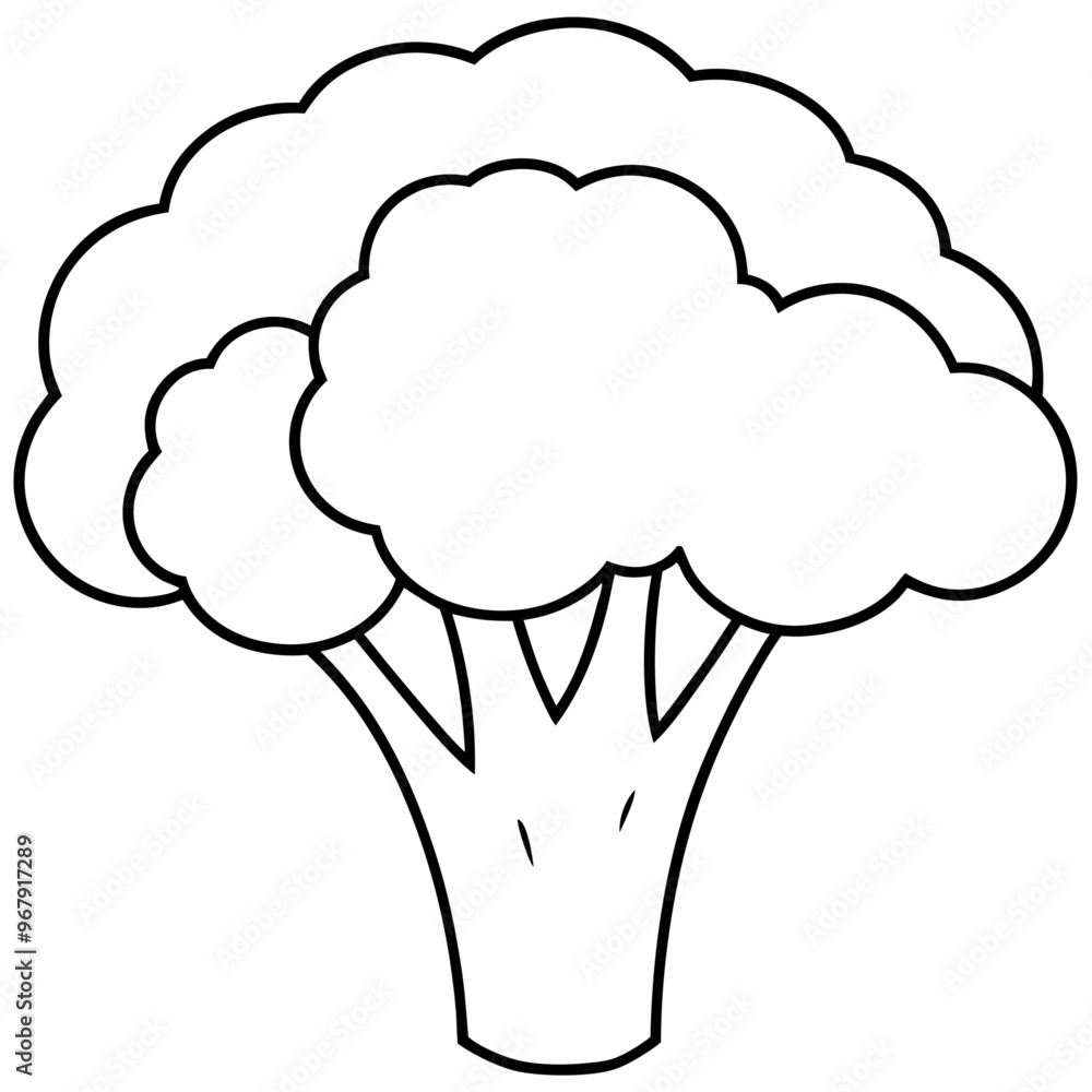 broccoli vegetable outline coloring book page line art illustration digital drawing broccoli vegetable outline coloring book page line art illustration digital drawing