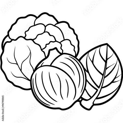 brussels sprouts cabbage zucchini vegetables outline coloring book page line art illustration digital drawing