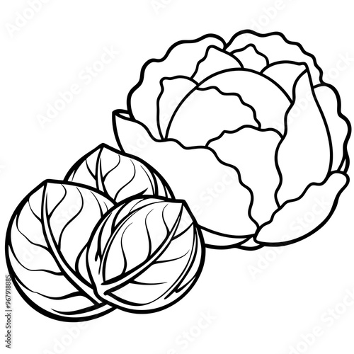 brussels sprouts cabbage zucchini vegetables outline coloring book page line art illustration digital drawing