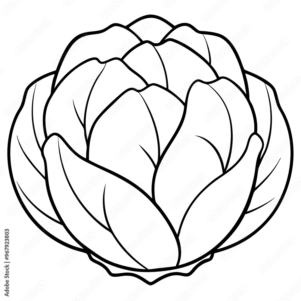 brussels sprouts vegetable outline coloring book page line art illustration digital drawing brussels sprouts vegetable outline coloring book page line art illustration digital drawing
