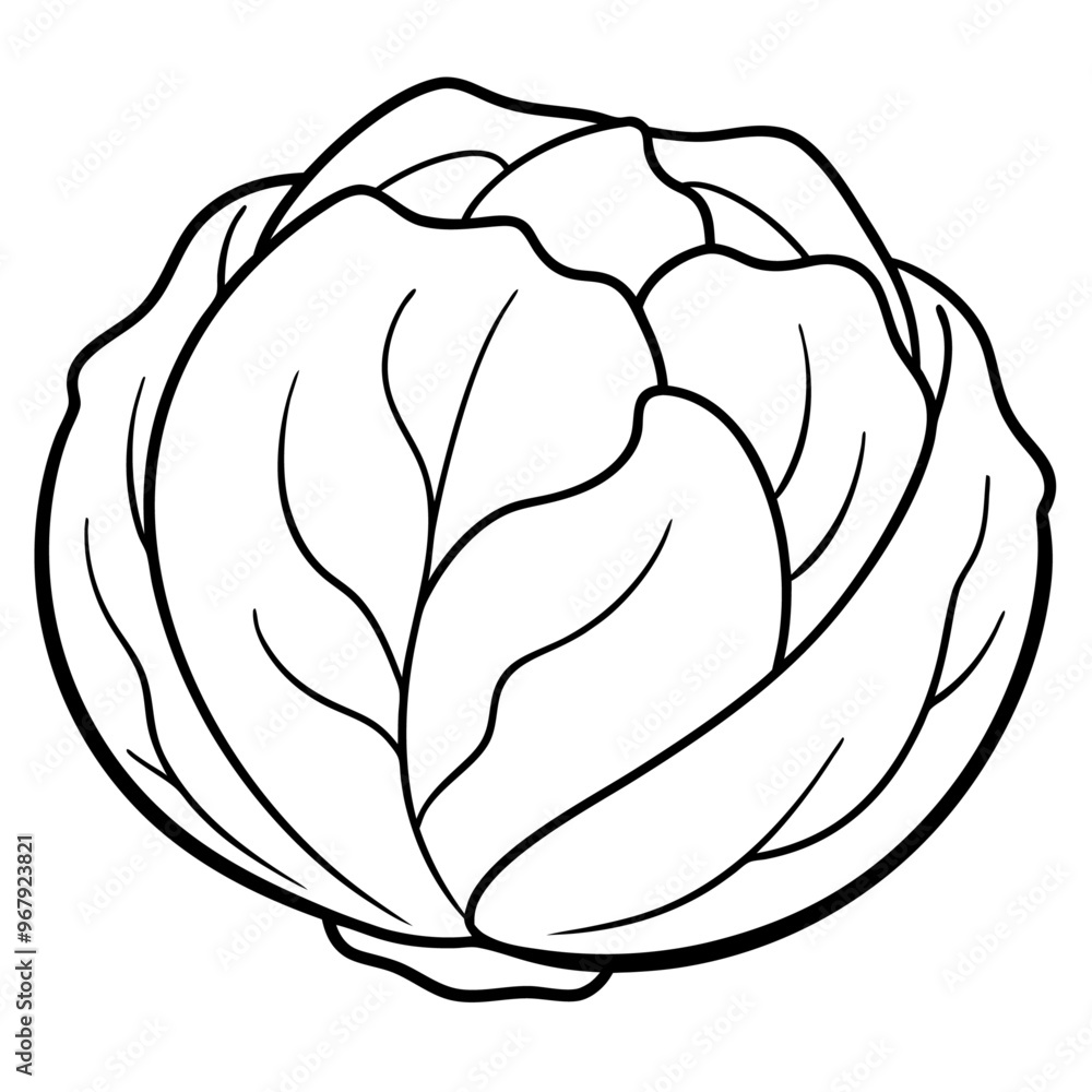 brussels sprouts vegetable outline coloring book page line art illustration digital drawing brussels sprouts vegetable outline coloring book page line art illustration digital drawing