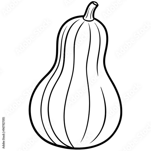 butternut squash vegetable outline coloring book page line art illustration digital drawing