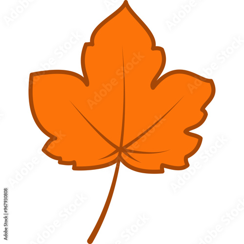 Autumn Leaf Illustration
