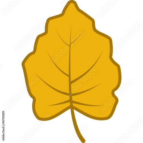 Autumn Leaf Illustration
