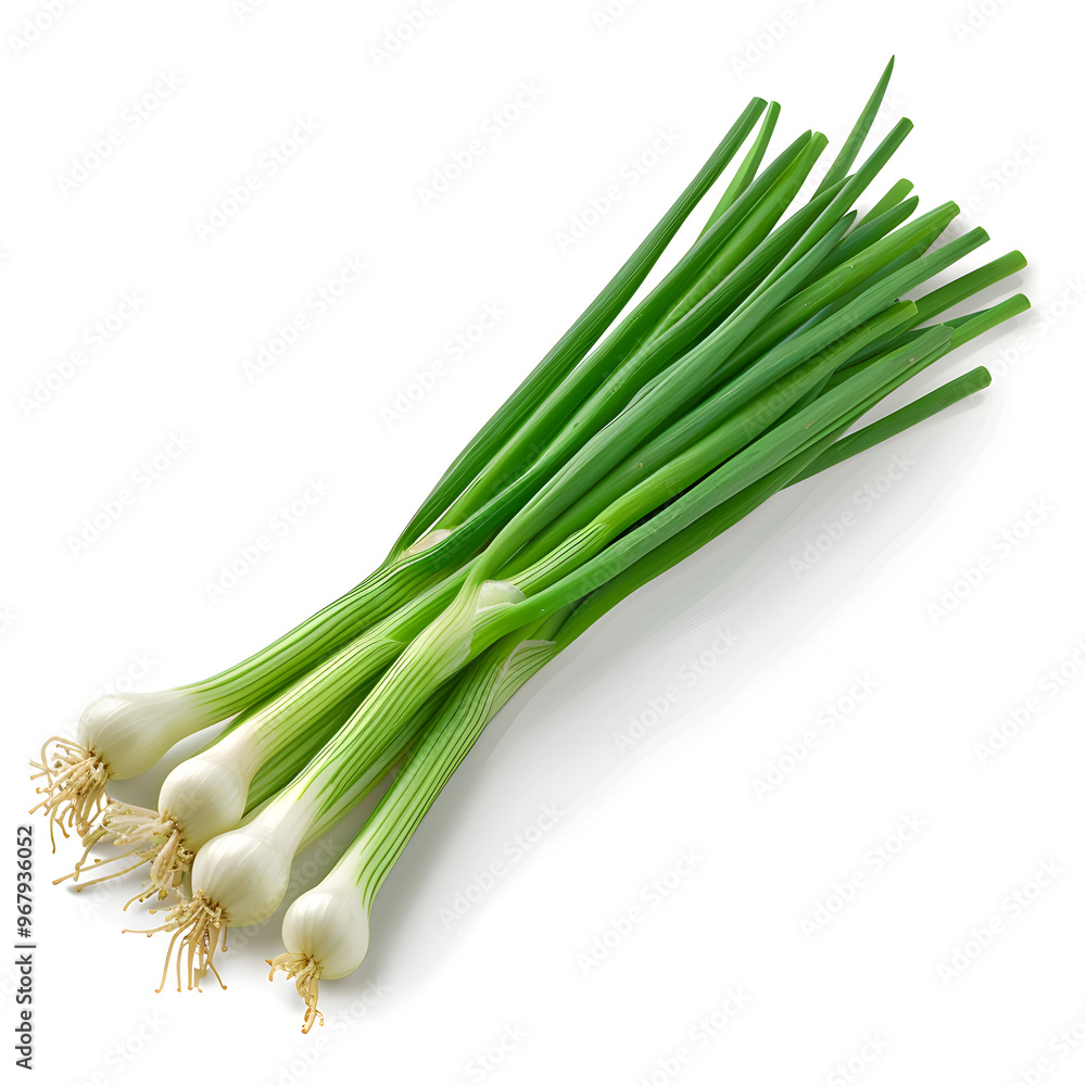 Green onions on a white background, realistic style Green onions on a white background, realistic style