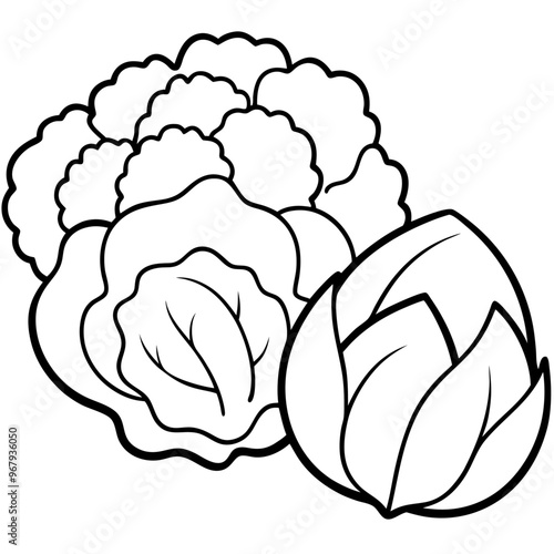 cauliflower brussels sprouts cabbage vegetables outline coloring book page line art illustration digital drawing
