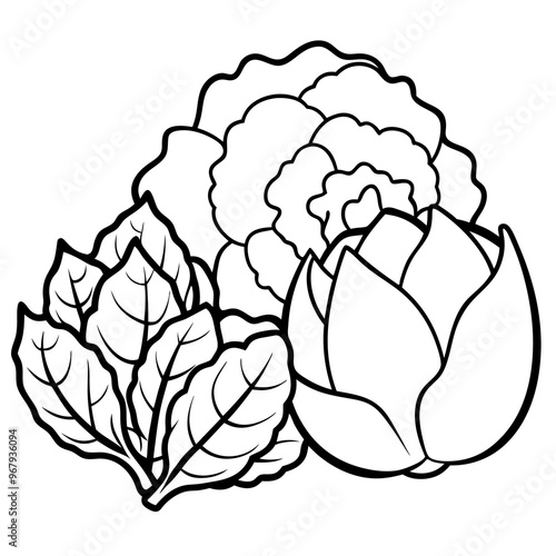 cauliflower brussels sprouts cabbage vegetables outline coloring book page line art illustration digital drawing