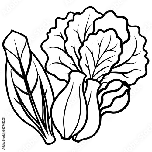 collard greens mustard greens bok choy vegetables outline coloring book page line art illustration digital drawing