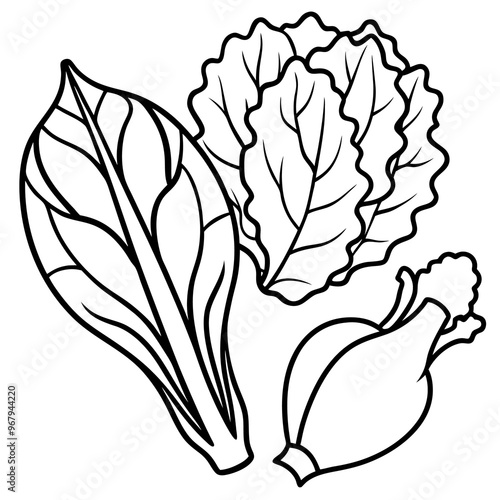 collard greens mustard greens bok choy vegetables outline coloring book page line art illustration digital drawing
