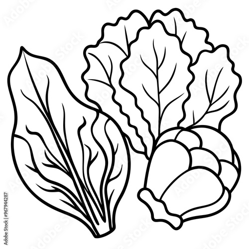 collard greens mustard greens bok choy vegetables outline coloring book page line art illustration digital drawing
